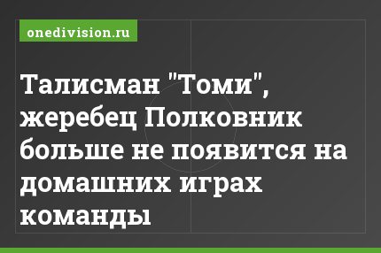 Талисман "Томи", жеребец Полковник больше не появится на домашних играх команды