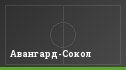 Авангард-Сокол