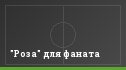 "Роза" для фаната