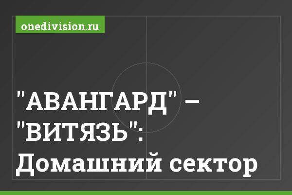 "АВАНГАРД" – "ВИТЯЗЬ": Домашний сектор