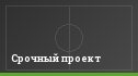 Срочный проект