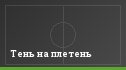 Тень на плетень