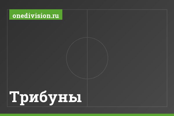 Трибуны