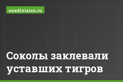 Соколы заклевали уставших тигров