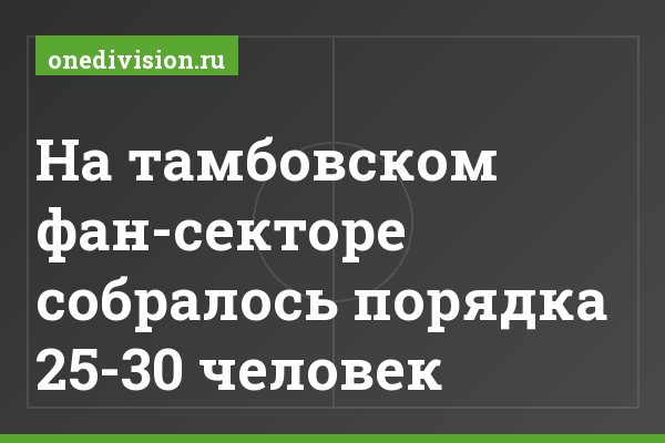 На тамбовском фан-секторе собралось порядка 25-30 человек