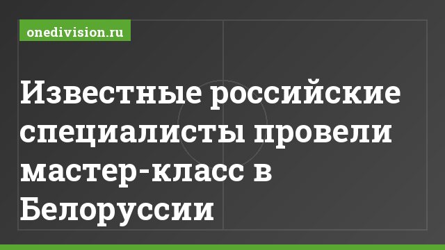 Известные российские специалисты провели мастер-класс в Белоруссии