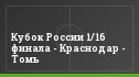 Кубок России 1/16 финала - Краснодар - Томь