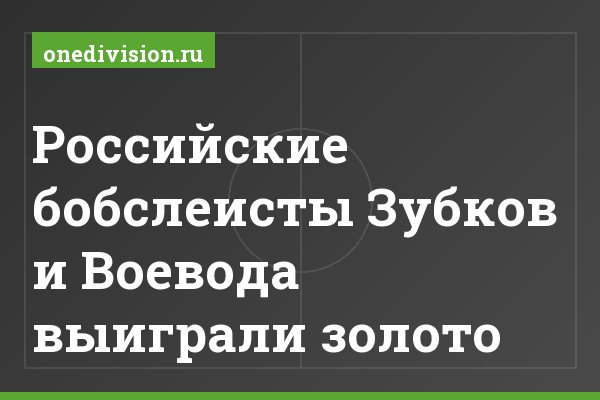 Российские бобслеисты Зубков и Воевода выиграли золото Российские бобслеисты Зубков и Воевода выиграли золото