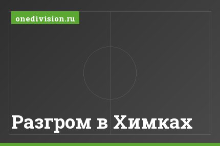 Разгром в Химках