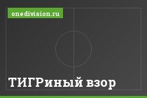 ТИГРиный взор