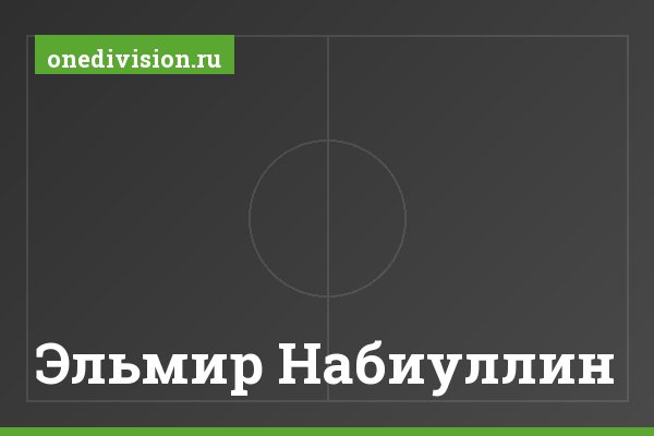 Эльмир Набиуллин Эльмир Набиуллин