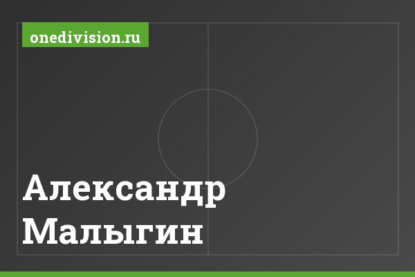 Александр Малыгин