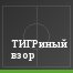 ТИГРиный взор