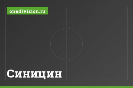 Синицин