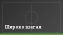 Широко шагая
