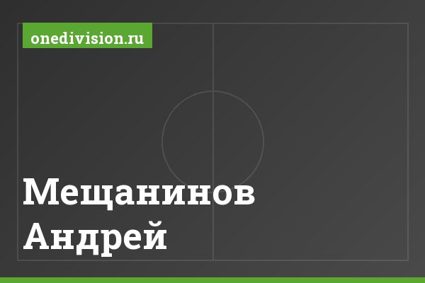 Мещанинов Андрей