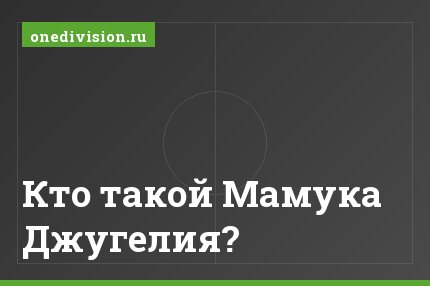 Кто такой Мамука Джугелия?