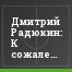 Дмитрий Радюкин: К сожалению, не все болельщики адекватные