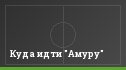 Куда идти "Амуру"
