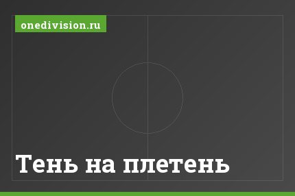 Тень на плетень