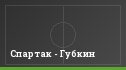 Спартак - Губкин