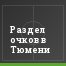 Раздел очков в Тюмени
