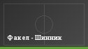 Факел - Шинник