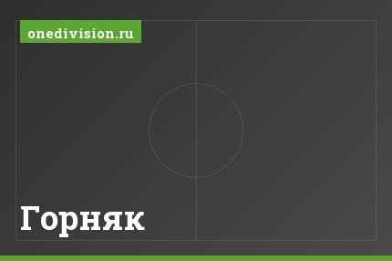 Горняк