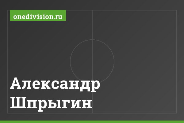 Александр Шпрыгин Александр Шпрыгин