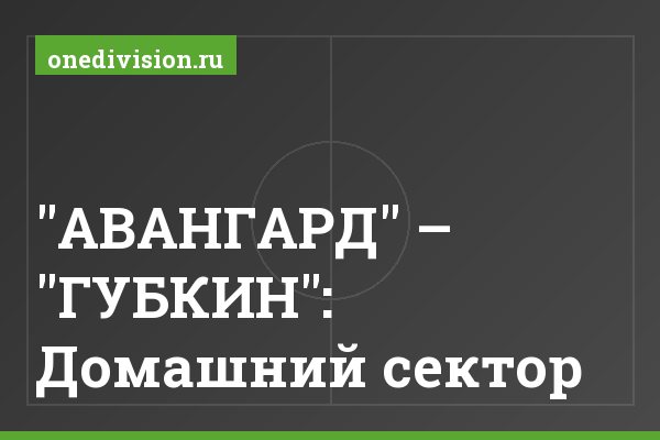 "АВАНГАРД" – "ГУБКИН": Домашний сектор