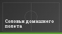 Соловьи домашнего полета