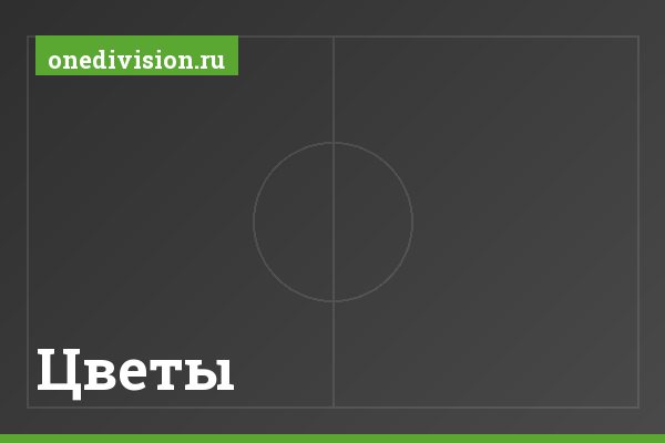 Цветы Цветы