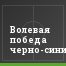 Волевая победа черно-синих