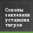 Соколы заклевали уставших тигров