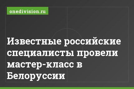 Известные российские специалисты провели мастер-класс в Белоруссии