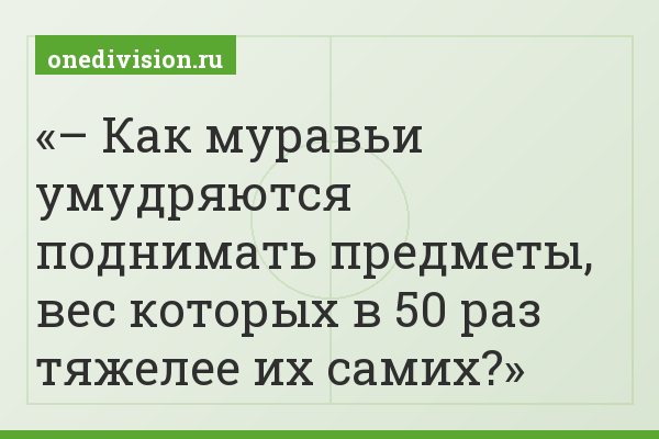 – Как муравьи умудряются поднимать предметы, вес которых в 50 раз тяжелее их самих?