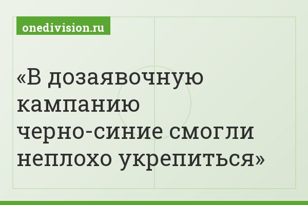 В дозаявочную кампанию черно-синие смогли неплохо укрепиться