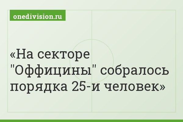 На секторе "Оффицины" собралось порядка 25-и человек