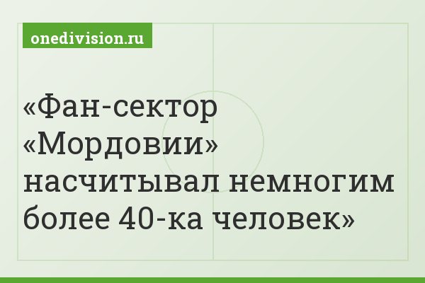 Фан-сектор «Мордовии» насчитывал немногим более 40-ка человек