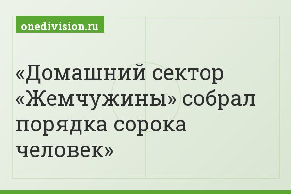 Домашний сектор «Жемчужины» собрал порядка сорока человек