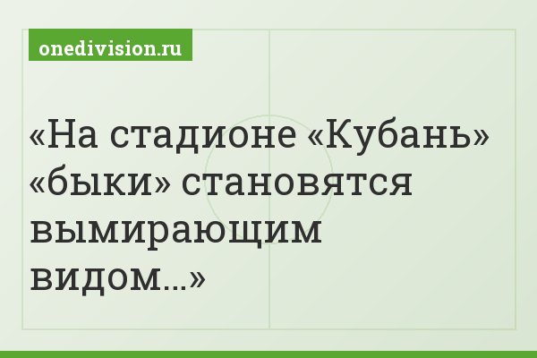 На стадионе «Кубань» «быки» становятся вымирающим видом…
