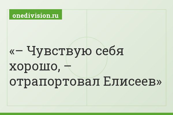 – Чувствую себя хорошо, – отрапортовал Елисеев
