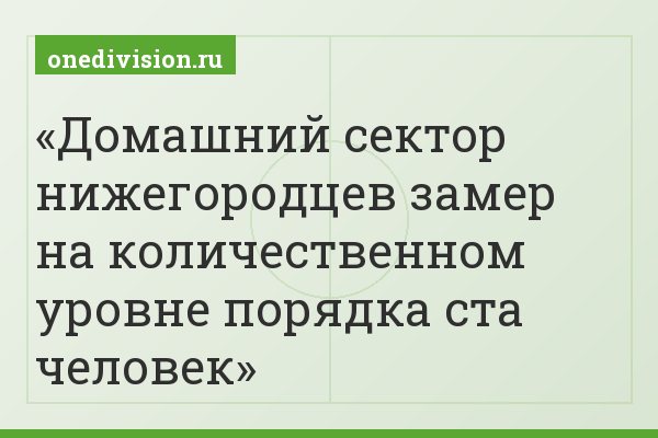 Домашний сектор нижегородцев замер на количественном уровне порядка ста человек