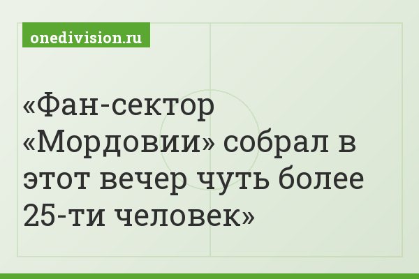 Фан-сектор «Мордовии» собрал в этот вечер чуть более 25-ти человек