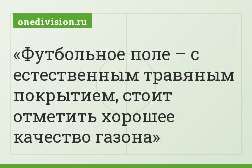 Футбольное поле – с естественным травяным покрытием, стоит отметить хорошее качество газона