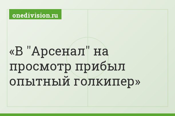 В "Арсенал" на просмотр прибыл опытный голкипер