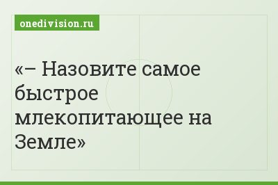 – Назовите самое быстрое млекопитающее на Земле
