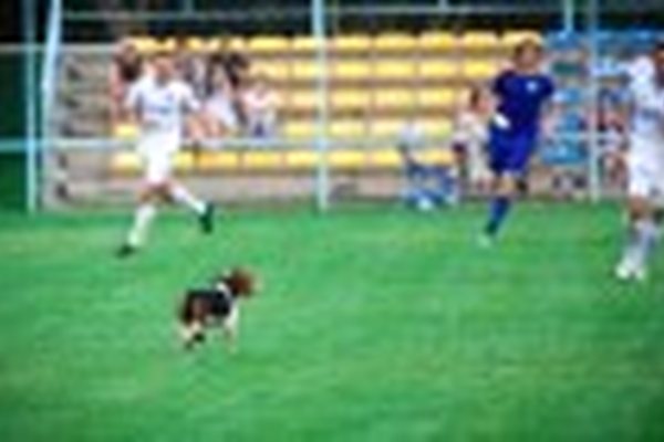 Биолог-Новокубанск - Ротор - 0:1