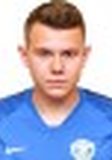 Минаев Роман