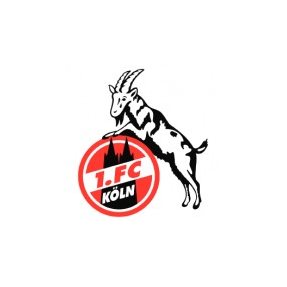 Контактная информация